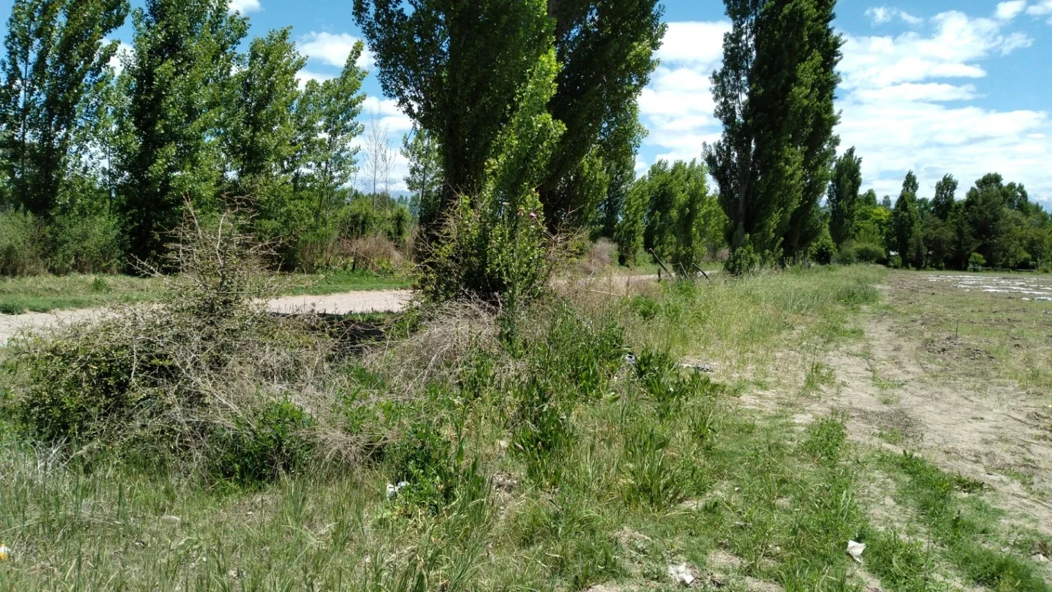 Terreno en Colonia Las Rosas - Imagen 3