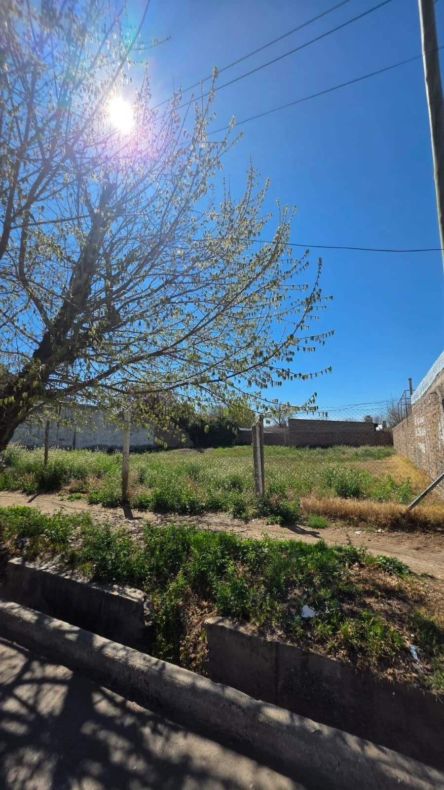 Terreno / Lote en venta de 803.5m2 ubicado en Tunuyán - Imagen 3