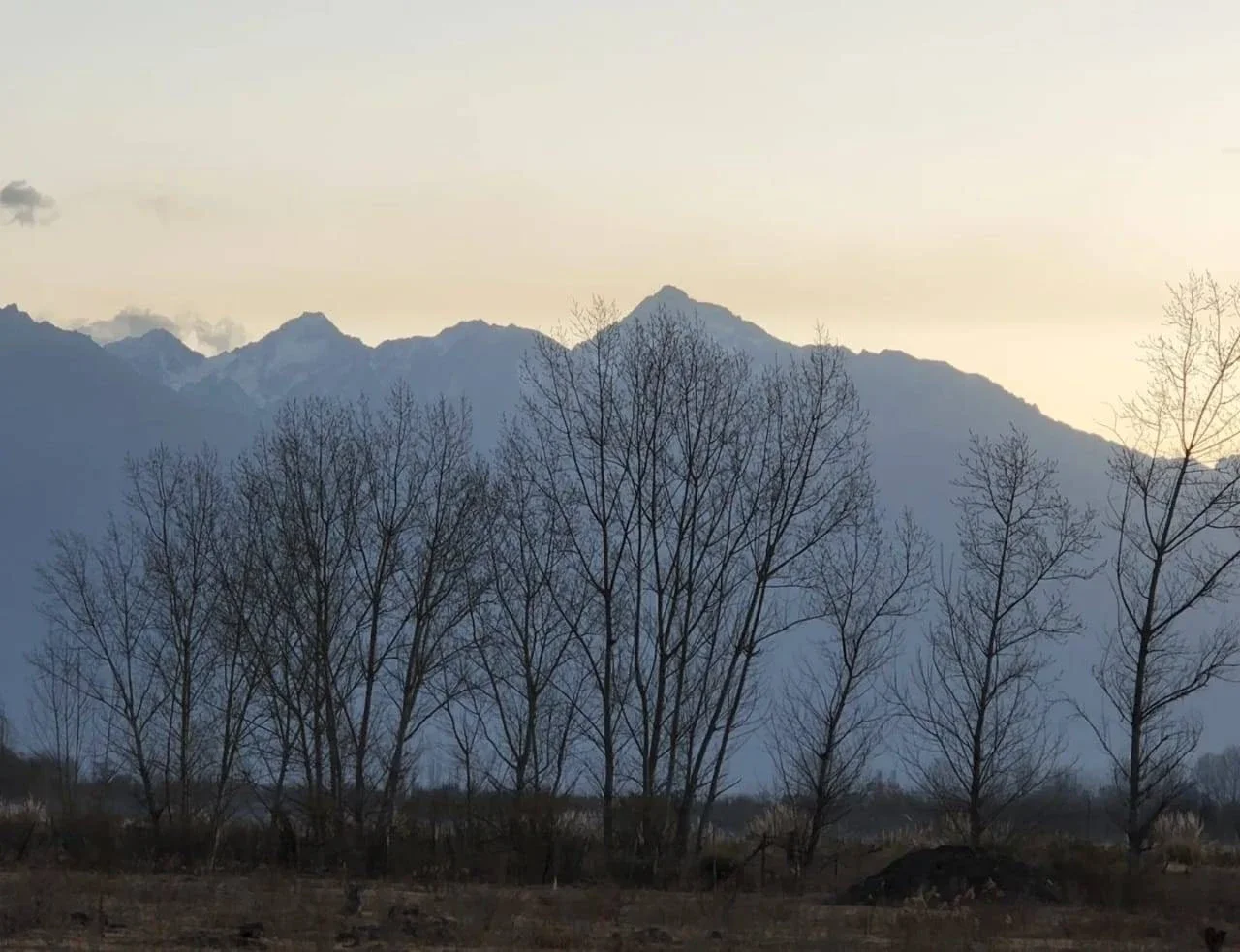 Terreno / Lote en venta de 10000m2 ubicado en Tunuyán - Imagen 5