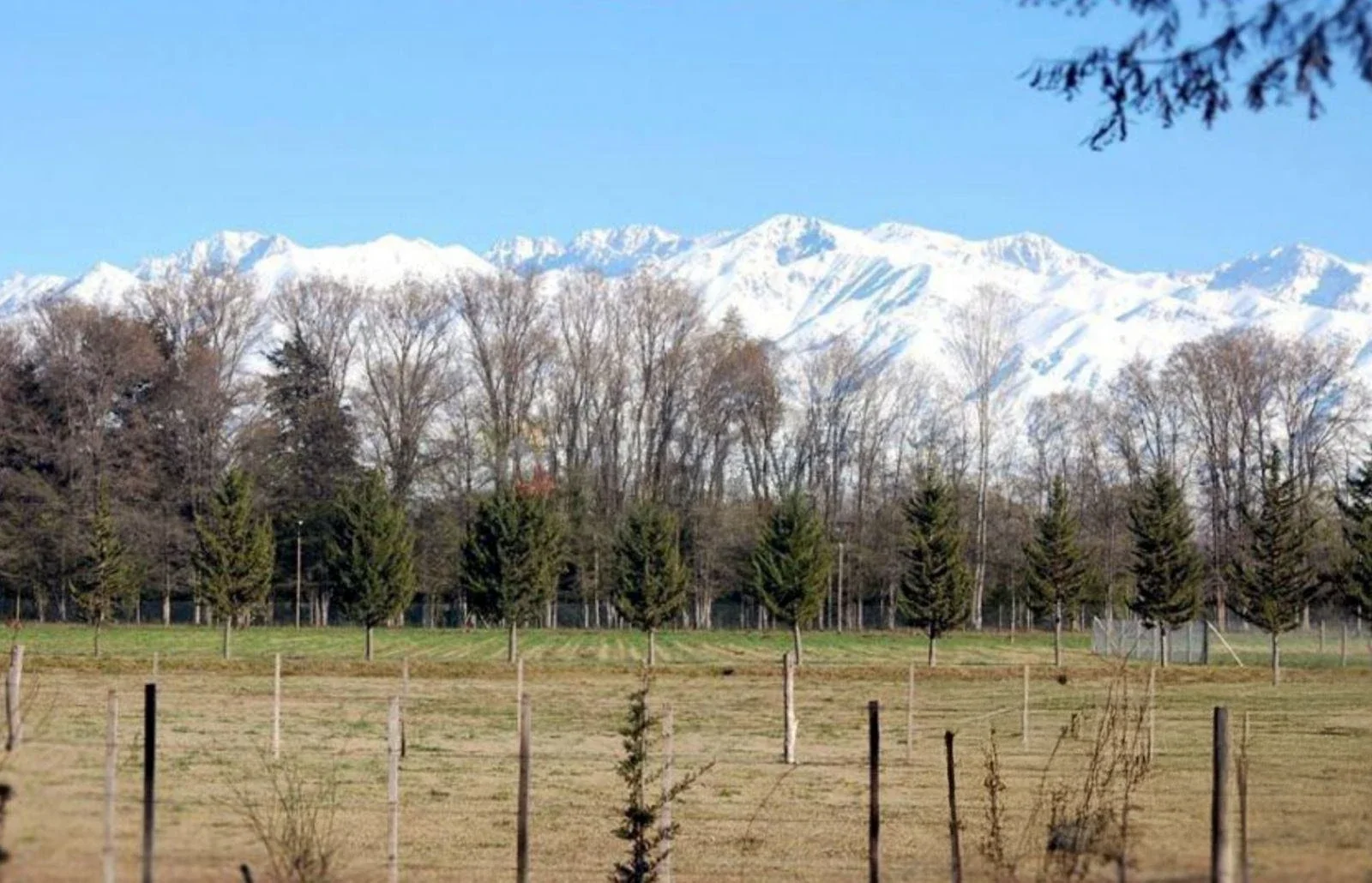 Terreno / Lote en venta de 2016.95m2 ubicado en Colonia Las Rosas - Imagen 5