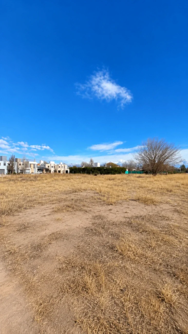 Terreno / Lote en venta de 230m2 ubicado en Tunuyán - Imagen 1