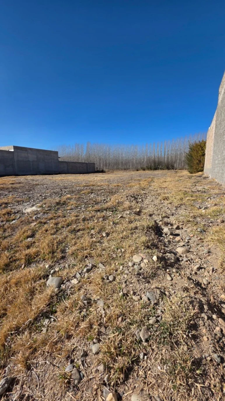 Terreno / Lote en venta de 529.56m2 ubicado en Raices del Valle - Imagen 5