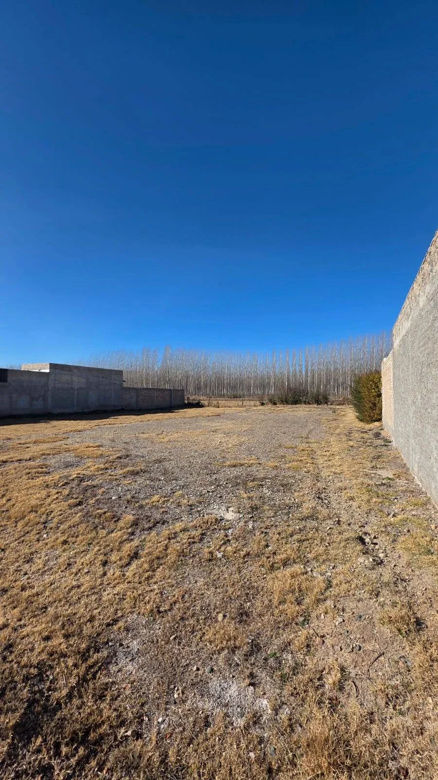 Terreno / Lote en venta de 529.56m2 ubicado en Raices del Valle - Imagen 3