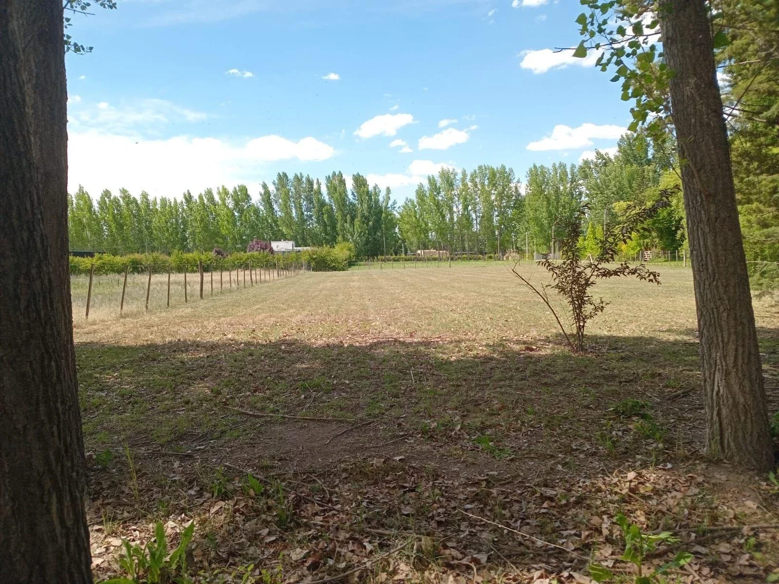 Terreno / Lote en venta de 2016.95m2 ubicado en Colonia Las Rosas - Imagen 4