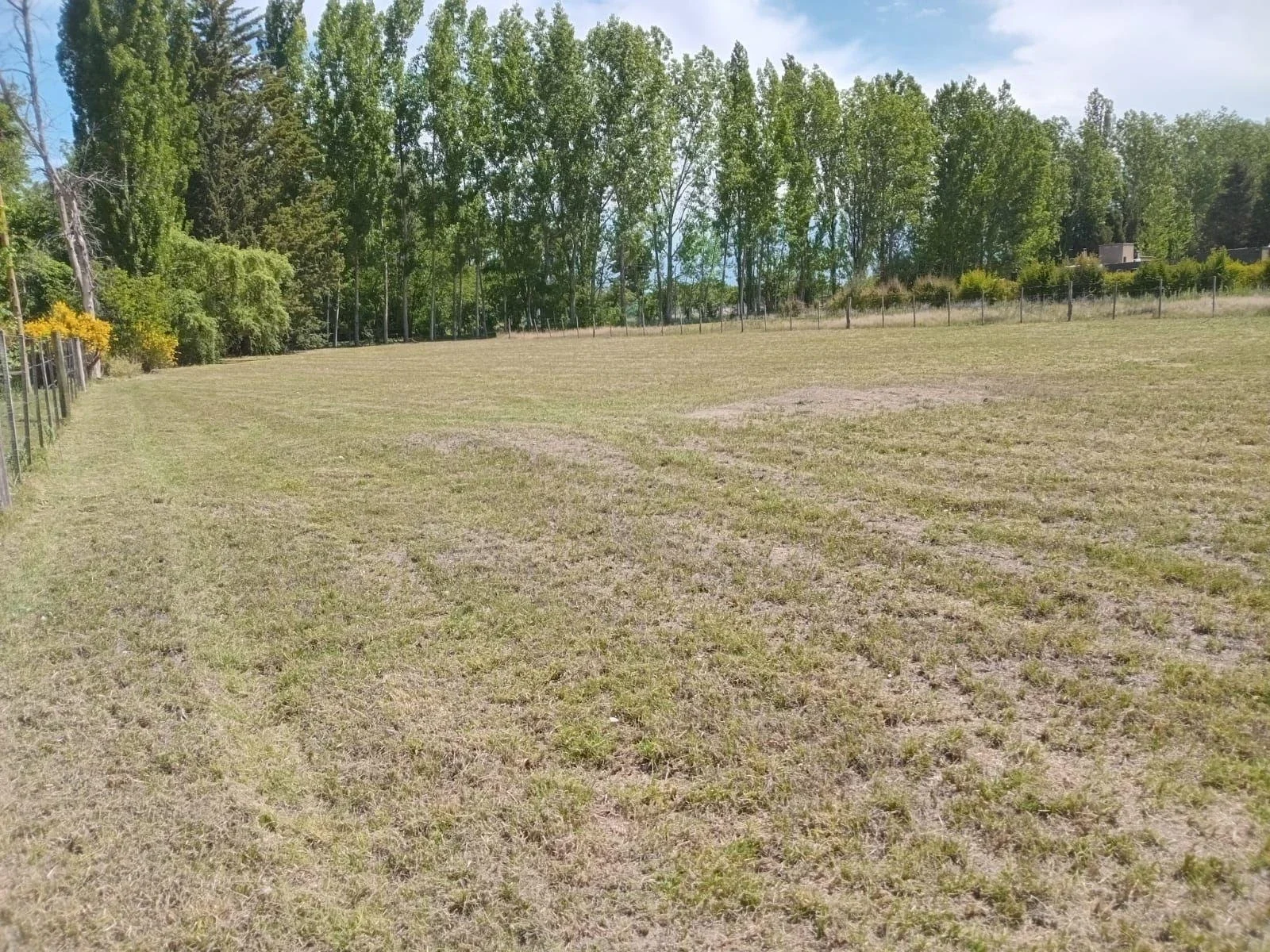 Terreno / Lote en venta de 2016.95m2 ubicado en Colonia Las Rosas - Imagen 2