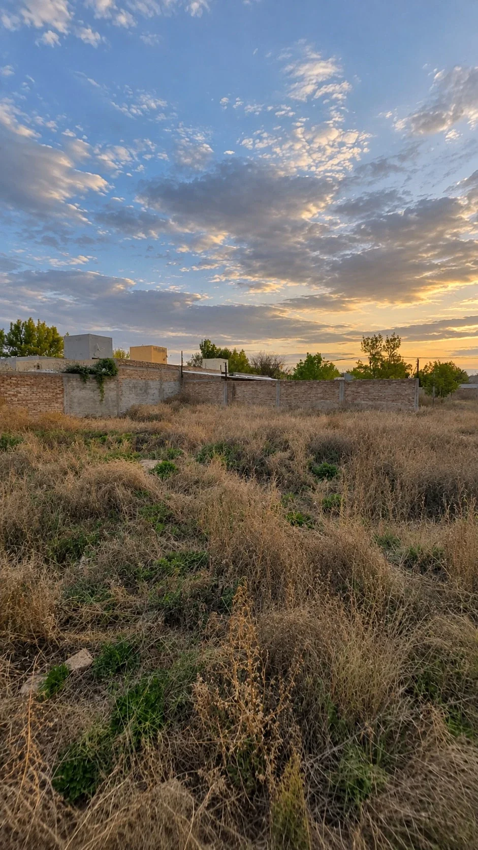 Terreno / Lote en venta de 292.38m2 ubicado en Tunuyán - Imagen 3