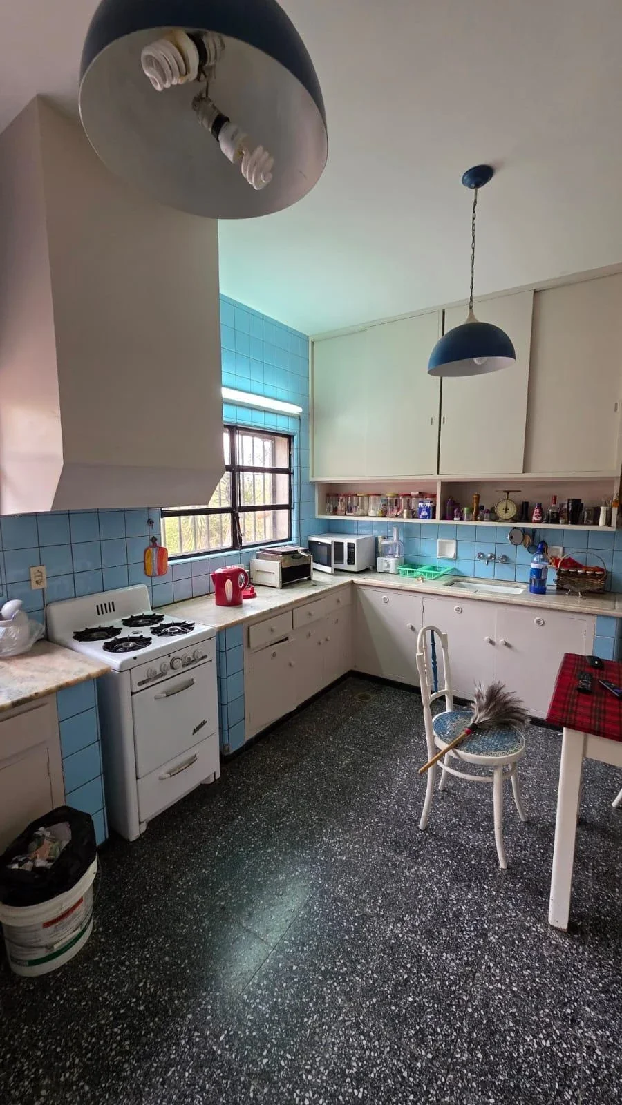 Finca de 80,51 ha en venta en Tunuyán - Imagen 5