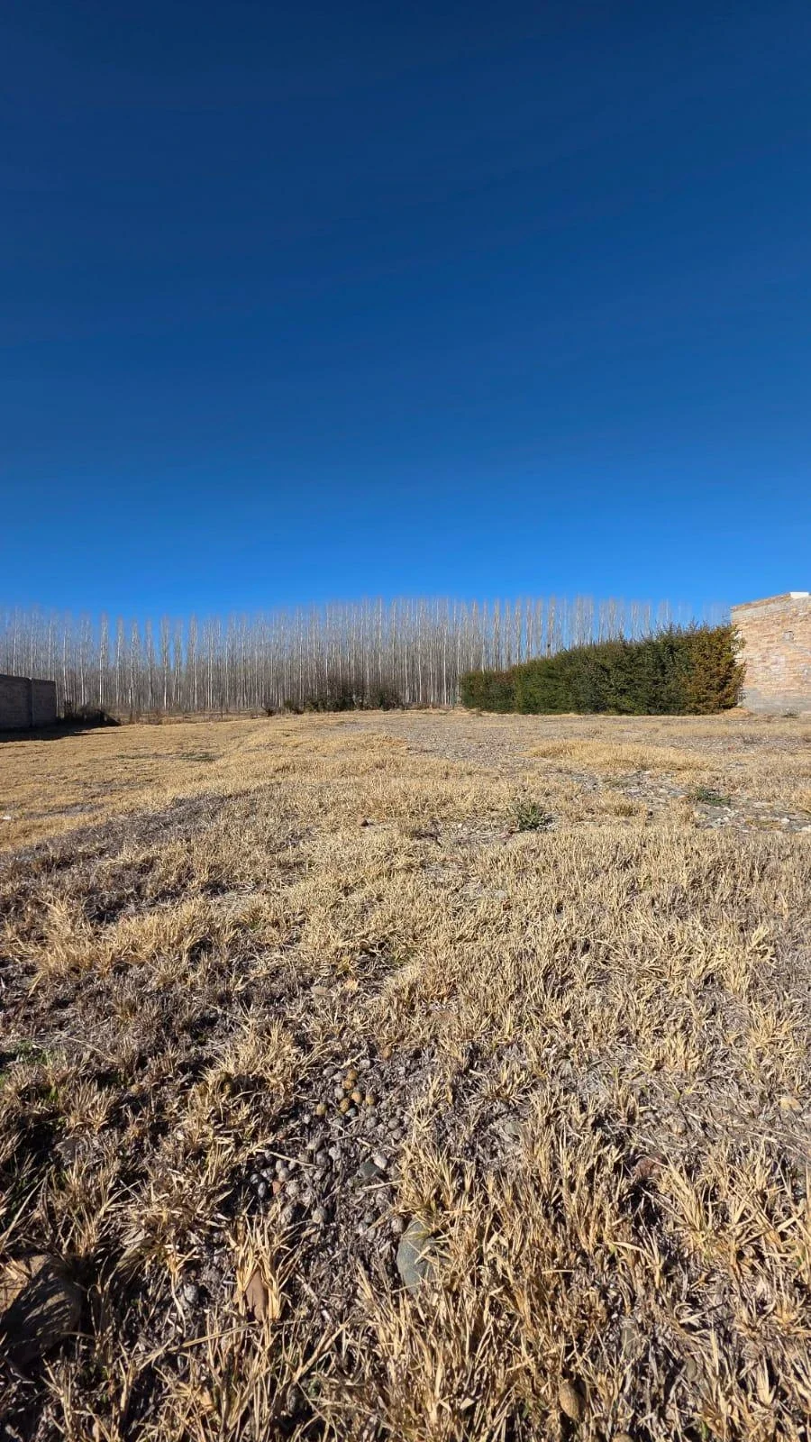 Terreno / Lote en venta de 529.56m2 ubicado en Raices del Valle - Imagen 4