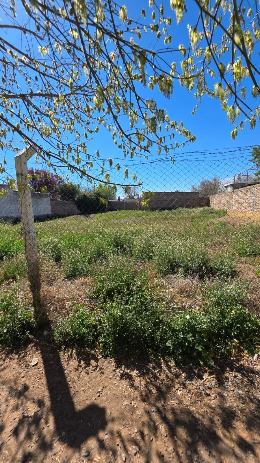 Terreno / Lote en venta de 803.5m2 ubicado en Tunuyán - Imagen 4