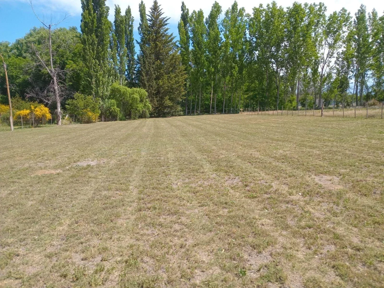 Terreno / Lote en venta de 2016.95m2 ubicado en Colonia Las Rosas - Imagen 3