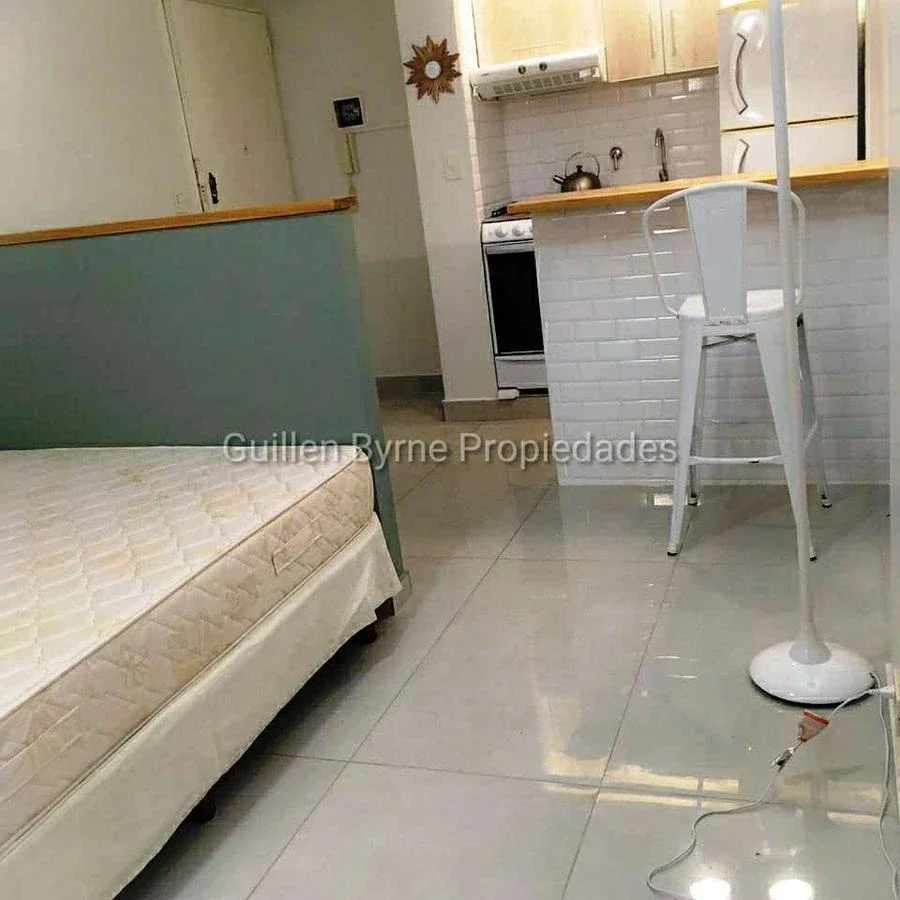 RECOLETA ALQUILER 1 AMBIENTE IMPECABLE APTO  PROF - Imagen 3