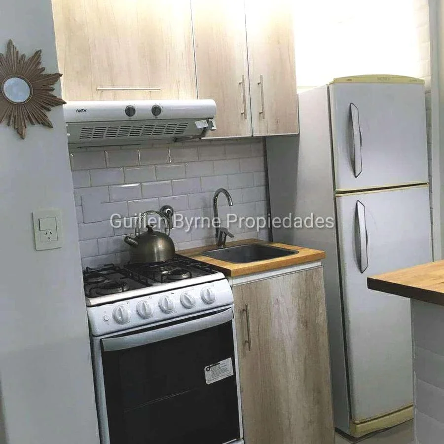 RECOLETA ALQUILER 1 AMBIENTE IMPECABLE APTO PROF - Imagen 1