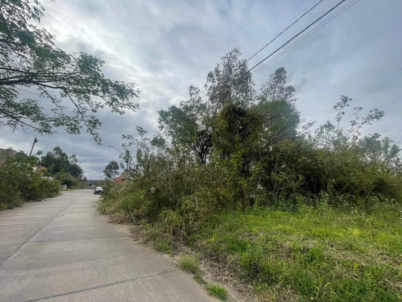 Terreno en venta de 600m2 ubicado en Higuerillas - Imagen 3