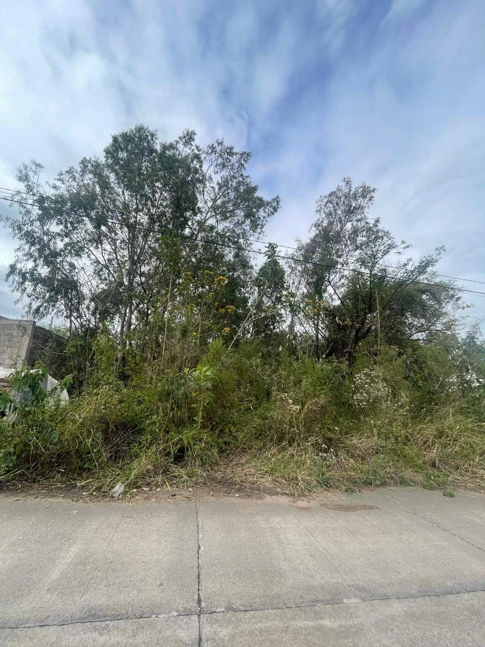 Terreno en venta de 600m2 ubicado en Higuerillas - Imagen 2