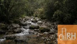 LOS TOLDOS, SALTA 150.000 HECT DE POTENCIAL PROD, FORESTAL, TURÍSTICO Y MINERO - Imagen 5