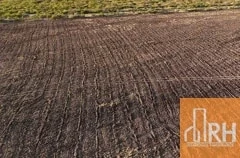 FINCA  EN VENTA | FINCA + PROYECTO Y TRANSFERENCIA DE LIC POR 20 AÑOS | SANT DEL EST - Imagen 3
