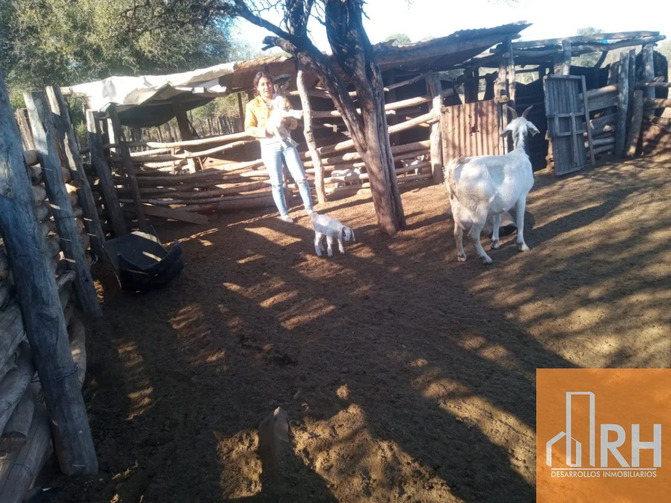 CAMPO EN VENTA EN FORMOSA | 2.500 HECTÁREAS CON INFRAESTRUCTURA Y POTENCIAL PROD - Imagen 1