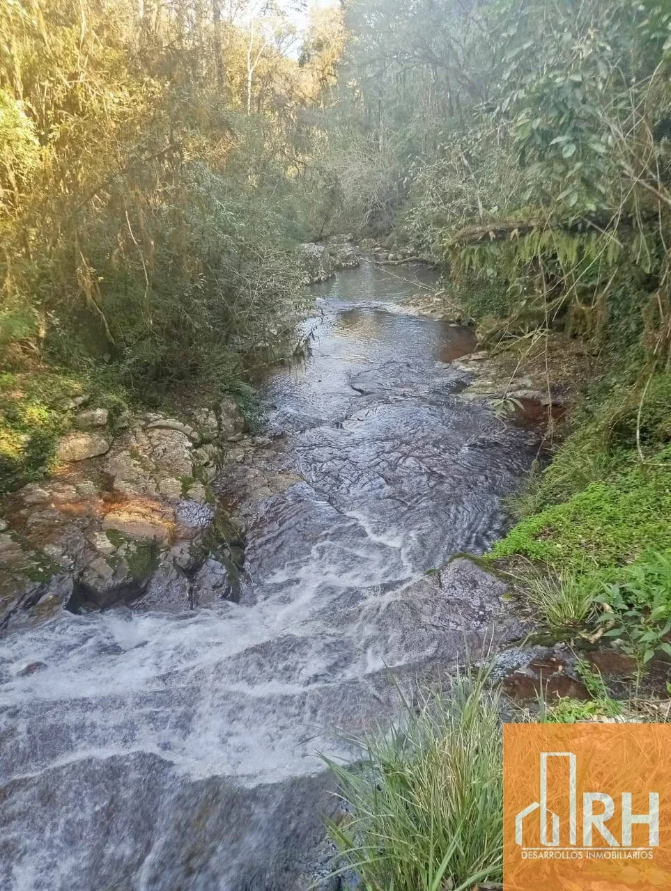 CAMPO AGRÍC EN VENTA | 828 HECT CON 726 HA BAJO RIEGO | FERNÁNDEZ, SANT DEL EST - Imagen 5