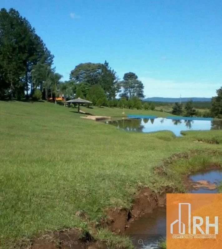 Quinta de 5 hectáreas sobre Ruta Nacional N.º 12 – Candelaria, Misiones - Imagen 4
