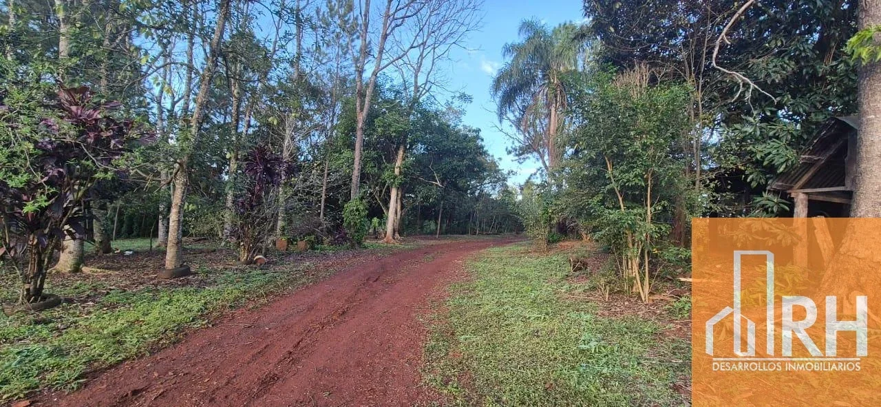 CAMPO EN VENTA | 58 HECTÁREAS CON 43 HA DE YERBA MATE EN PRODUCCIÓN - Imagen 4