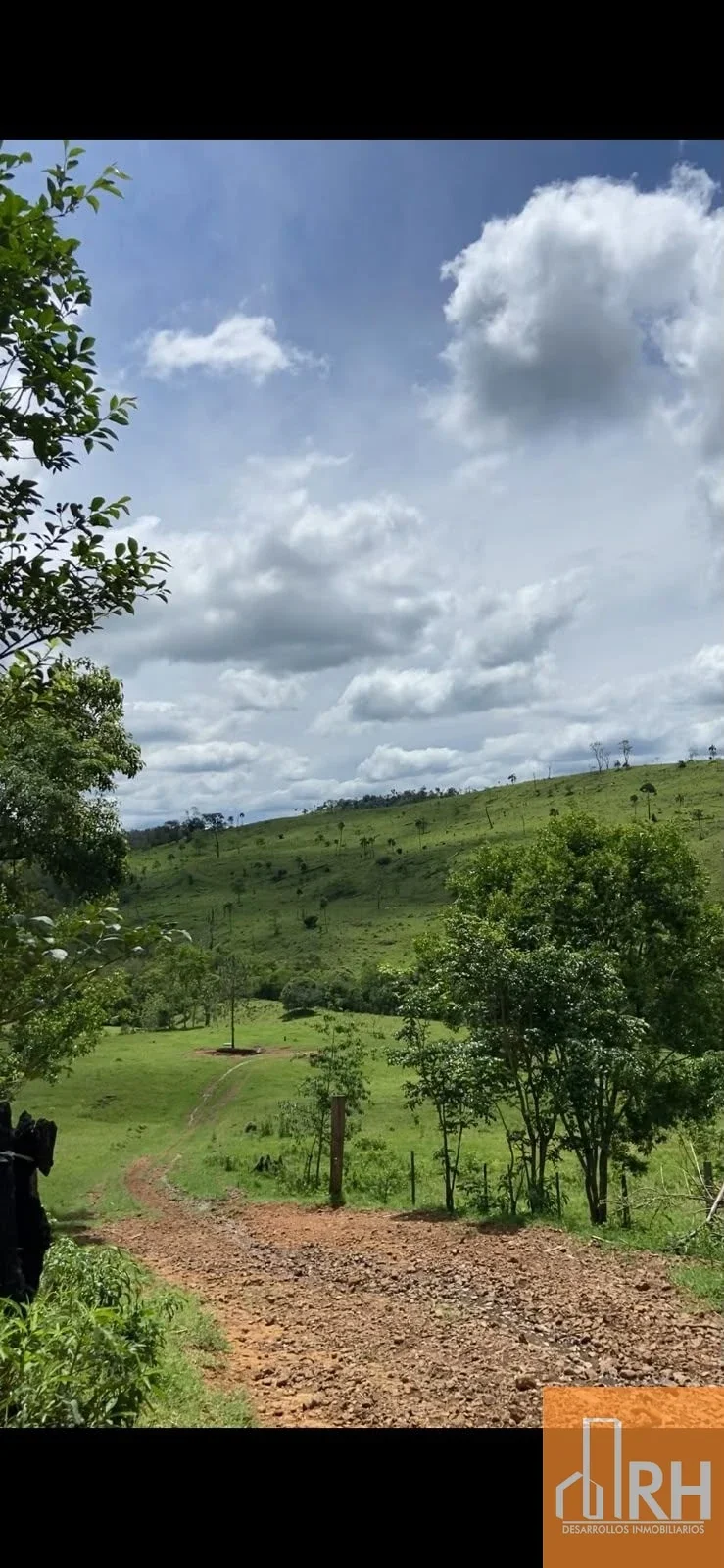 CAMPO EN VENTA | 159 HECTÁREAS SOBRE RUTA NACIONAL 14 | MISIONES - Imagen 2