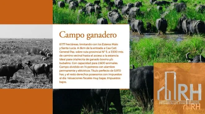 ESTANCIA SAPUCAY | 8.177 HECTÁREAS GANADERAS EN CORRIENTES - Imagen 5