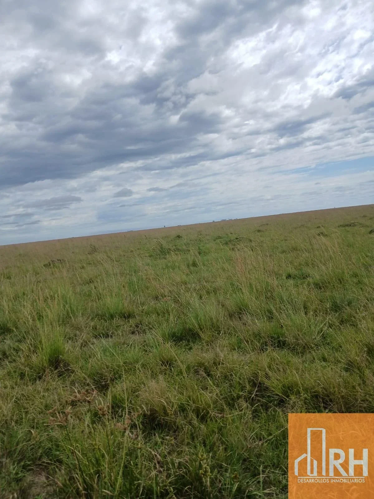 15.160 hect con potencial ganadero, forestal y agrícola en  Villa O.- Corrientes - Imagen 4