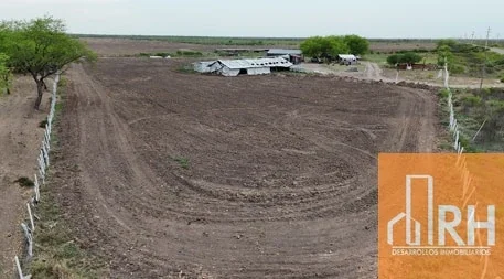 FINCA  EN VENTA | FINCA + PROYECTO Y TRANSFERENCIA DE LIC POR 20 AÑOS | SANT DEL EST - Imagen 4