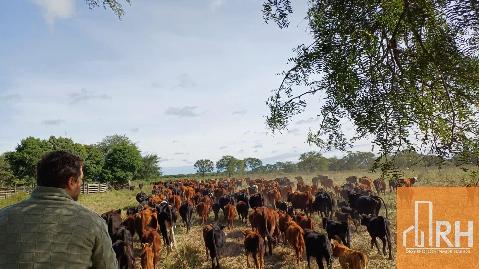 ESTABLECIMIENTO SANTA ELENA – EL RECREO | CAMPO GANADERO PREMIUM EN FORMOSA - Imagen 3