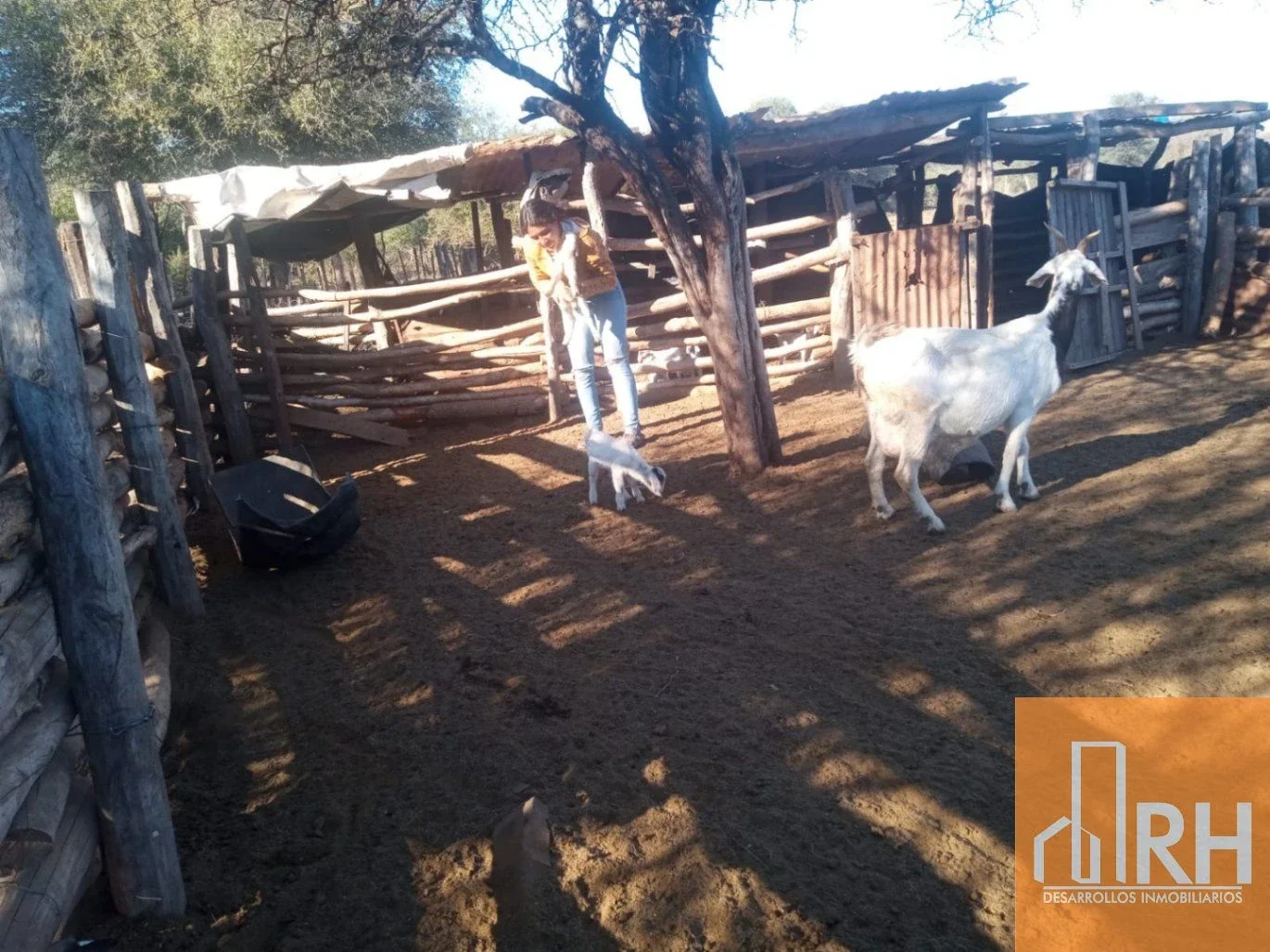 CAMPO EN VENTA EN FORMOSA | 2.500 HECTÁREAS CON INFRAESTRUCTURA Y POTENCIAL PROD - Imagen 2