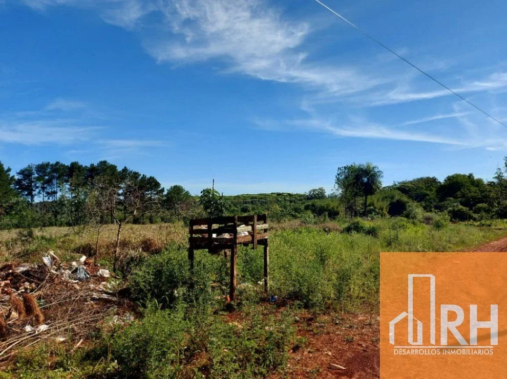 TERRENOS EN VENTA EN GARUPÁ | 450 M² PARA DESARROLLAR TU PRÓXIMO PROYECTO - Imagen 4