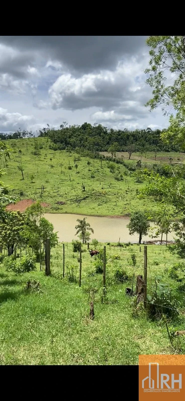 CAMPO EN VENTA | 159 HECTÁREAS SOBRE RUTA NACIONAL 14 | MISIONES - Imagen 4