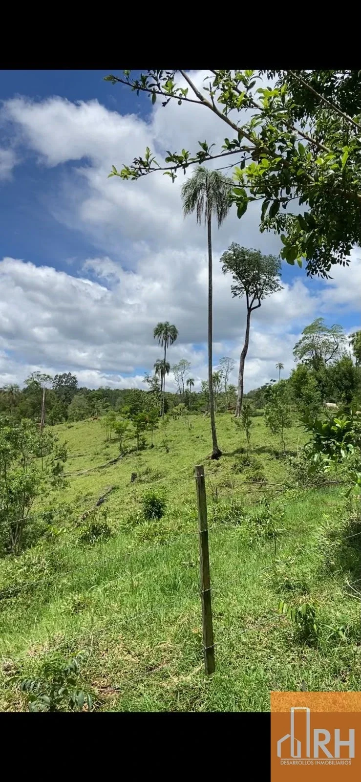CAMPO EN VENTA | 159 HECTÁREAS SOBRE RUTA NACIONAL 14 | MISIONES - Imagen 5