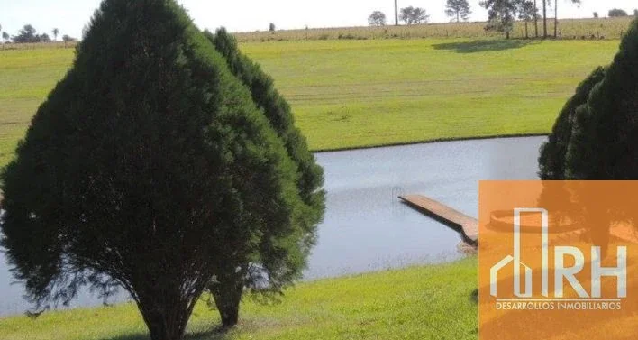 Quinta de 5 hectáreas sobre Ruta Nacional N.º 12 – Candelaria, Misiones - Imagen 3
