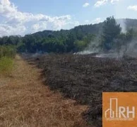 CAMPO AGRÍC EN VENTA | 828 HECT CON 726 HA BAJO RIEGO | FERNÁNDEZ, SANT DEL EST - Imagen 4