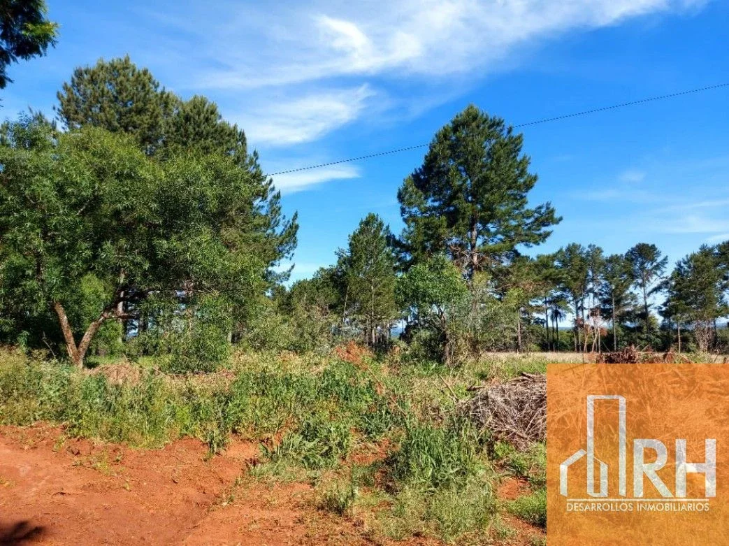 TERRENOS EN VENTA EN GARUPÁ | 450 M² PARA DESARROLLAR TU PRÓXIMO PROYECTO - Imagen 5