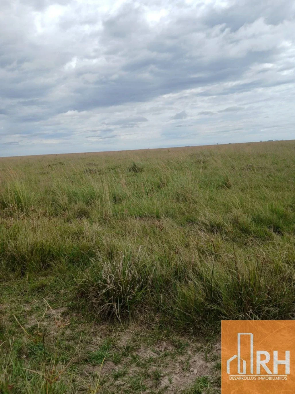 15.160 hect con potencial ganadero, forestal y agrícola en  Villa O.- Corrientes - Imagen 3