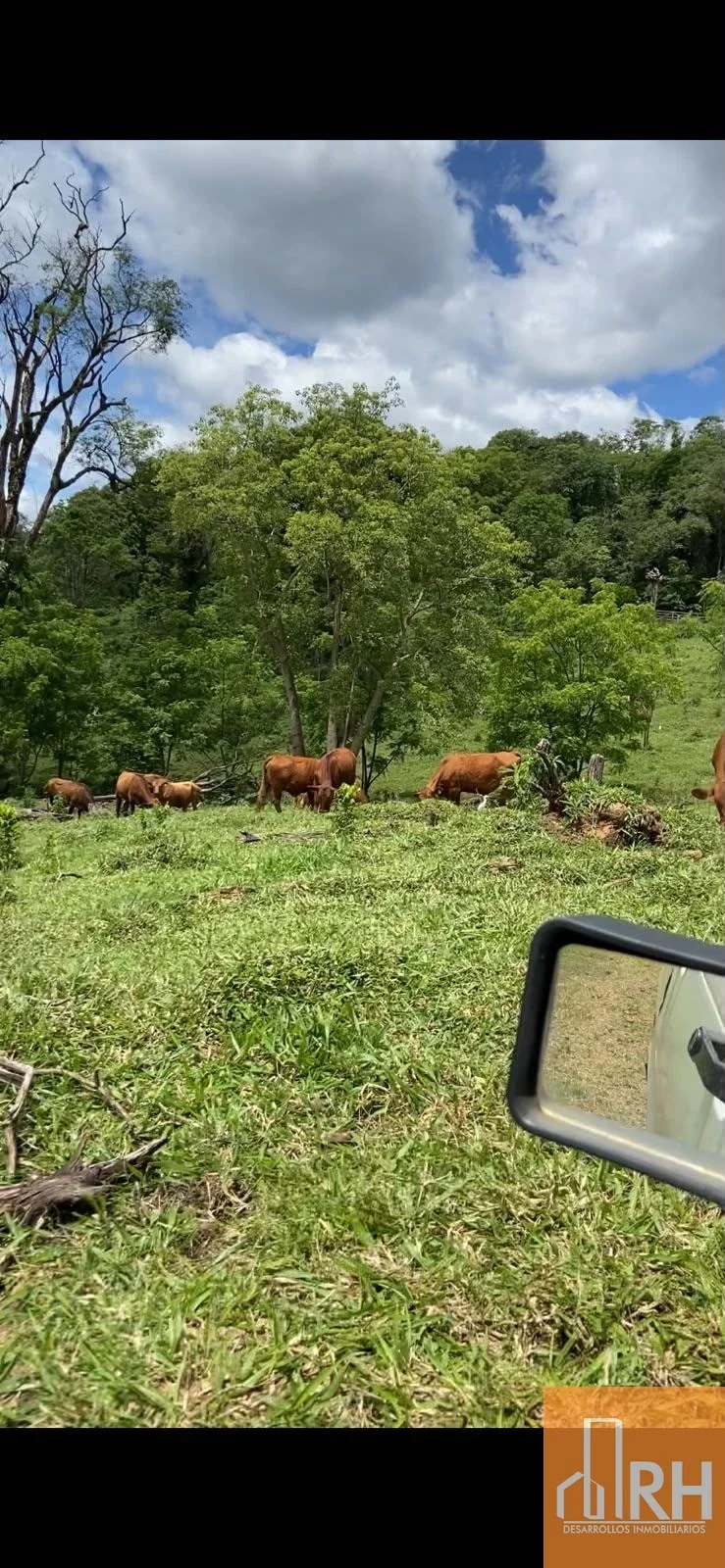 CAMPO EN VENTA | 159 HECTÁREAS SOBRE RUTA NACIONAL 14 | MISIONES - Imagen 3
