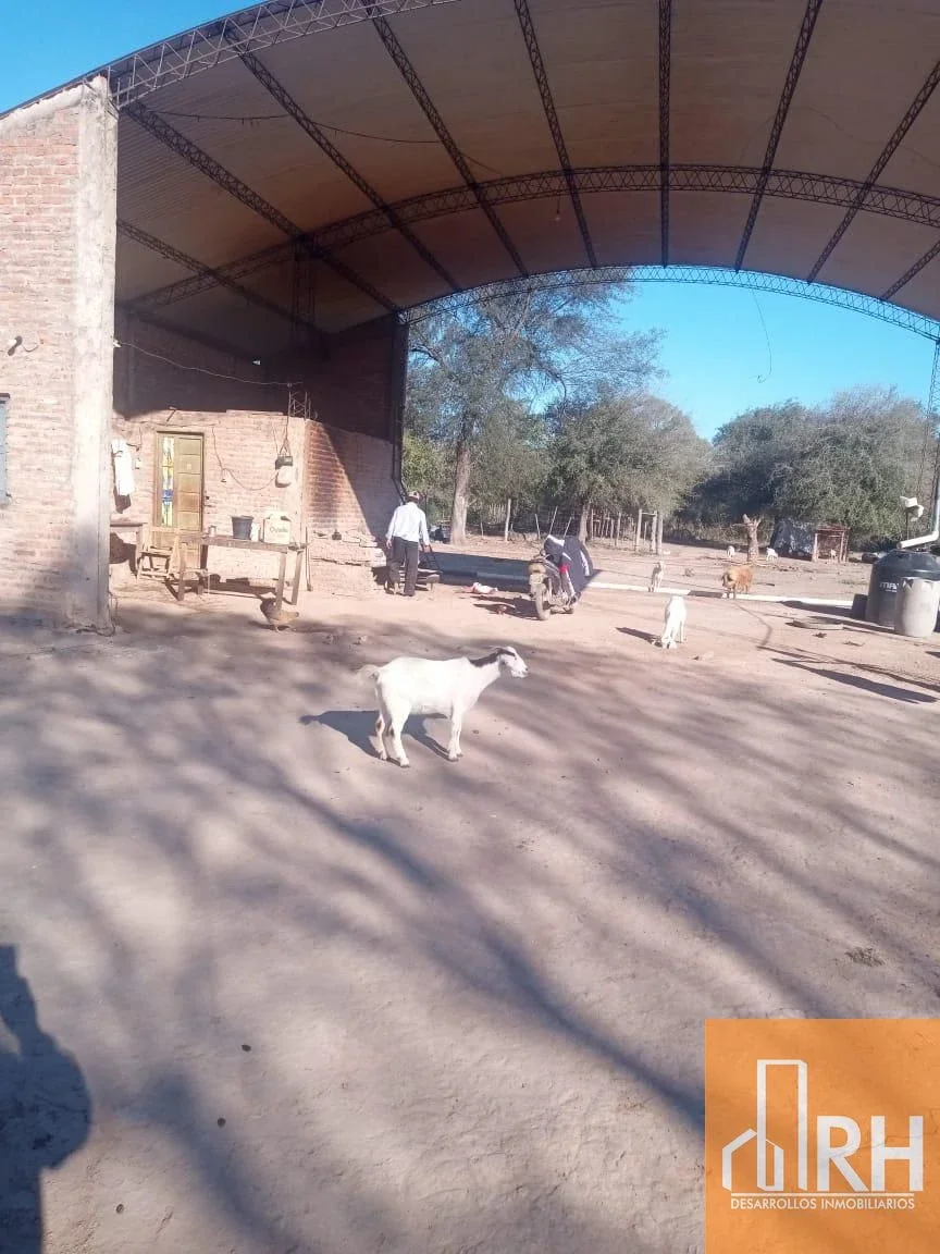 CAMPO EN VENTA EN FORMOSA | 2.500 HECTÁREAS CON INFRAESTRUCTURA Y POTENCIAL PROD - Imagen 3