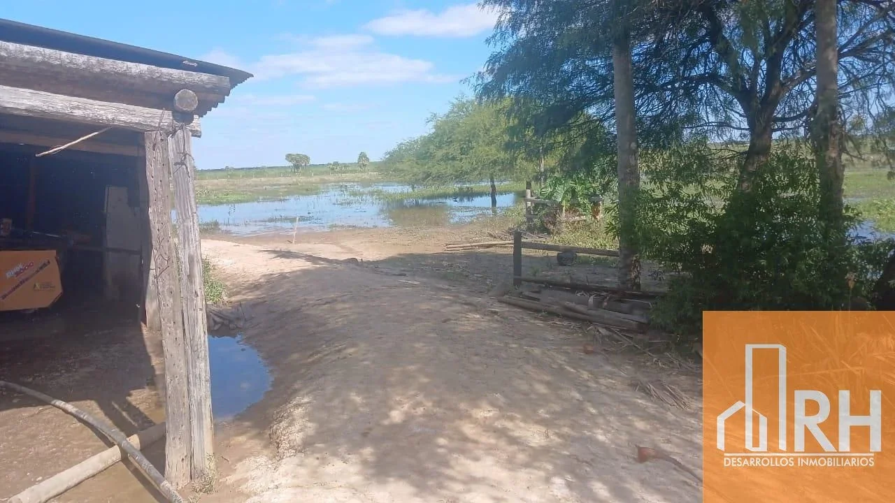ESTABLECIMIENTO SANTA ELENA – EL RECREO | CAMPO GANADERO PREMIUM EN FORMOSA - Imagen 5
