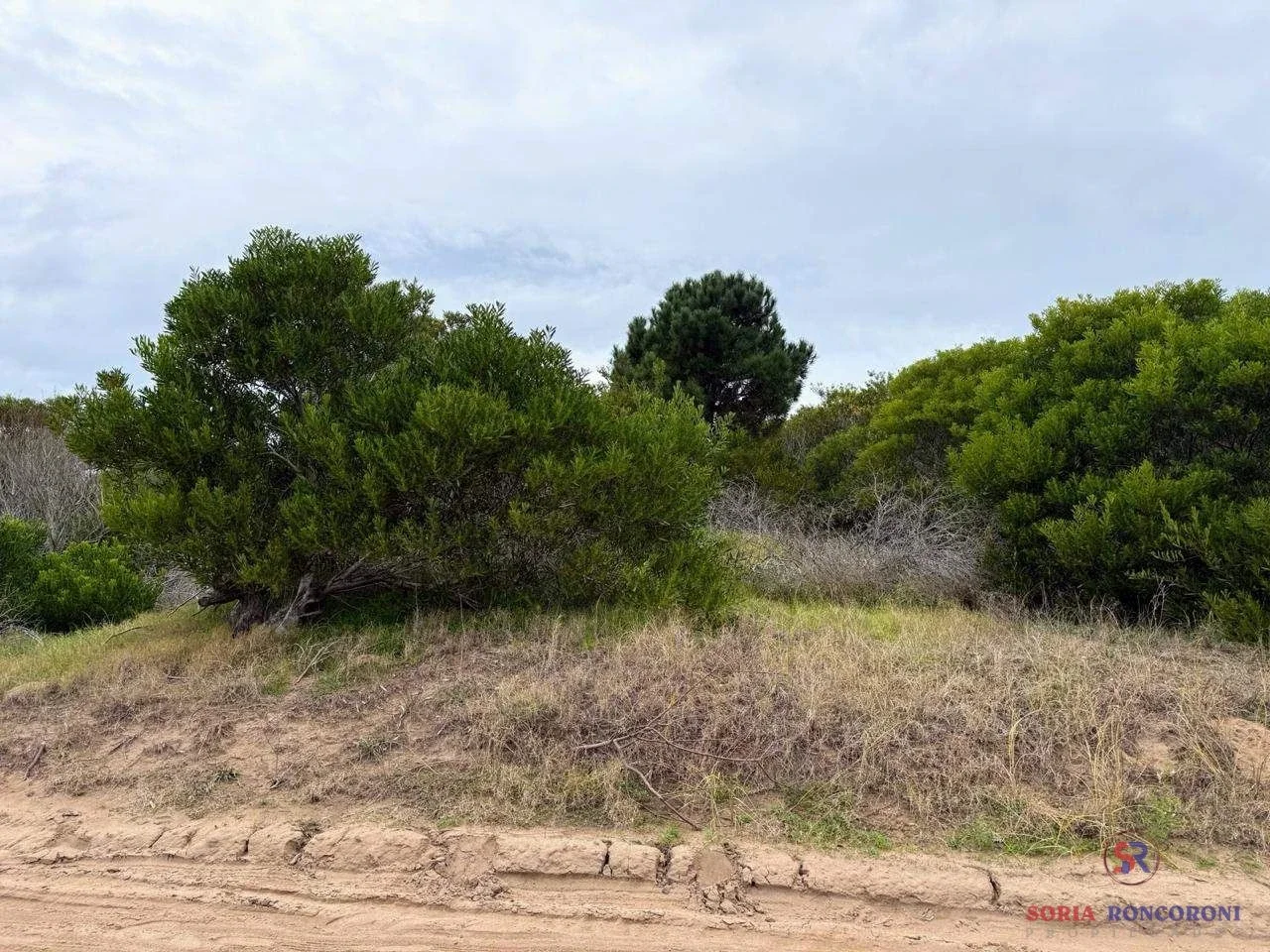 Lote de 660 m² en entorno forestado - Imagen 2