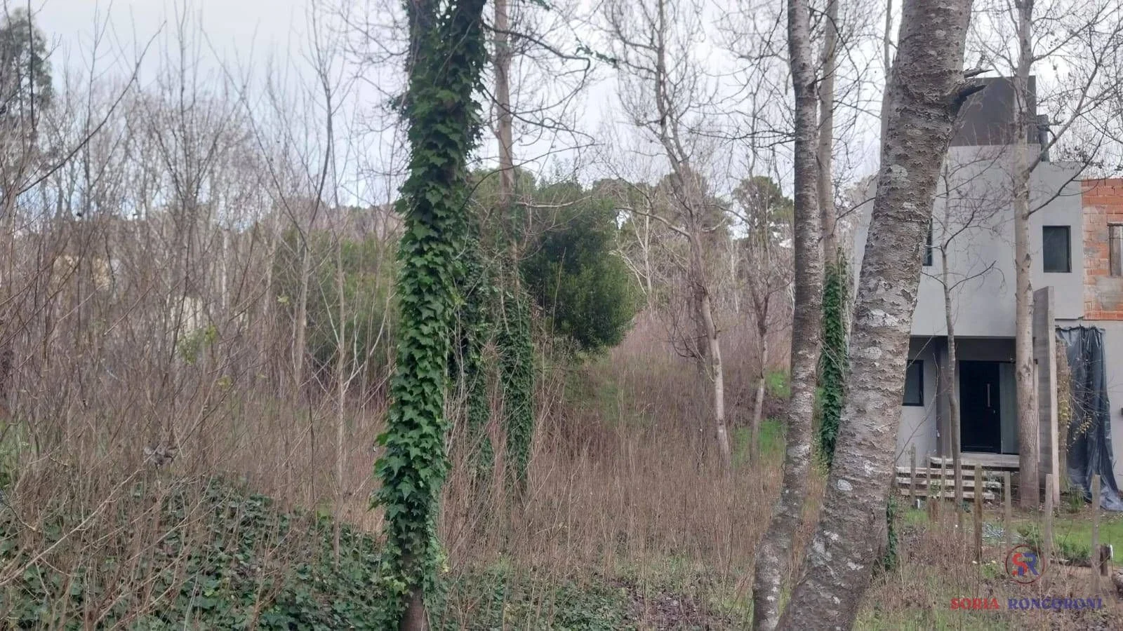 Lote  de 475 m², entorno forestado a 650 mts del mar - Imagen 4