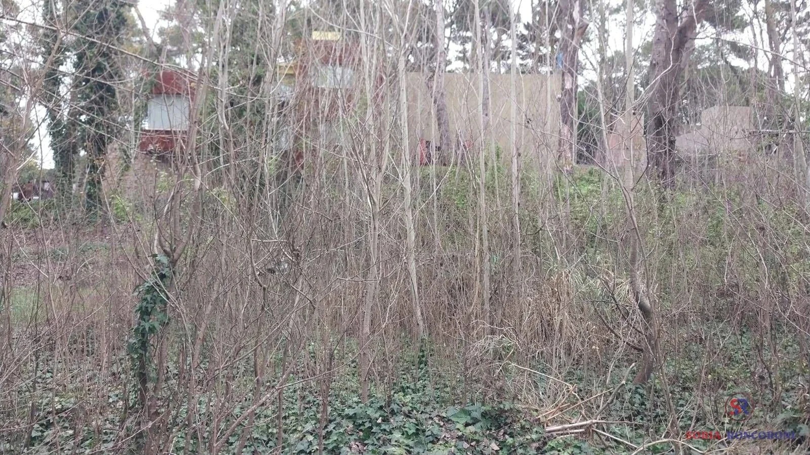 Terreno / Lote en venta de 337.5m2 ubicado en Mar Azul - Imagen 3