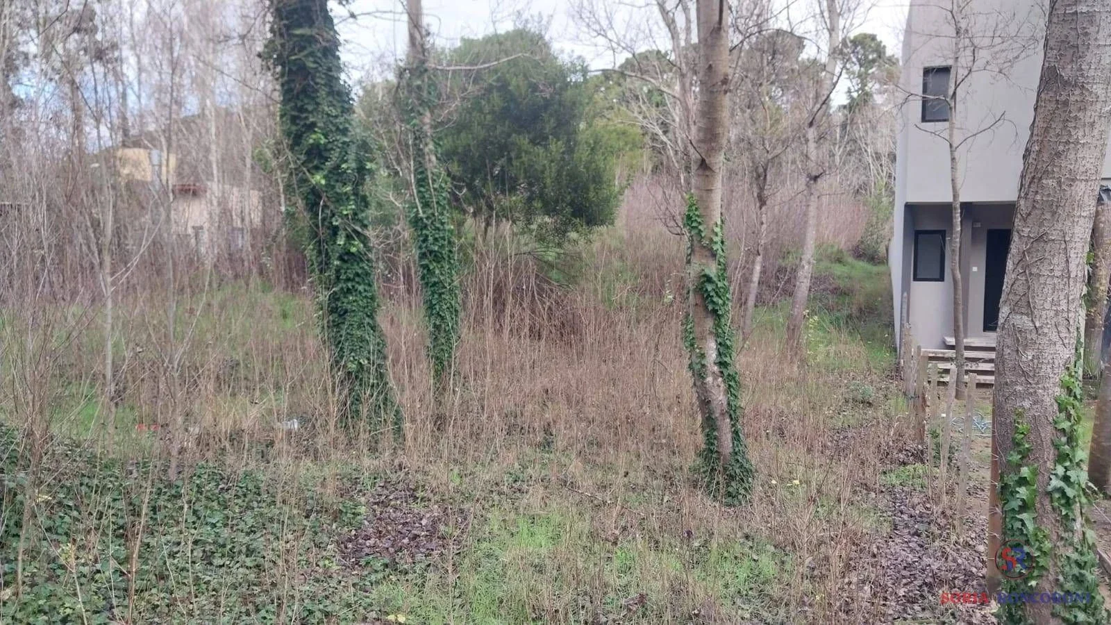Lote  de 475 m², entorno forestado a 650 mts del mar - Imagen 2