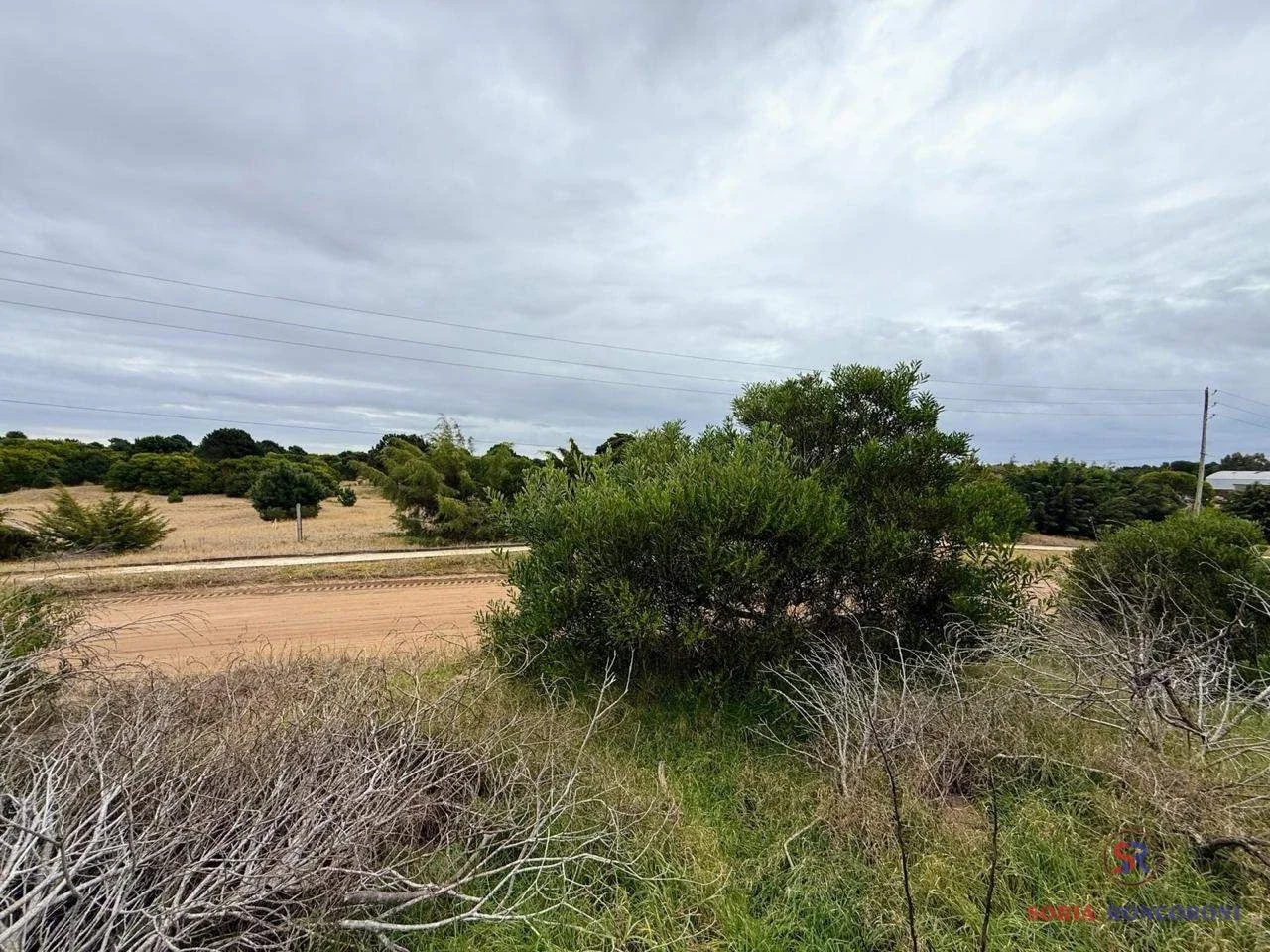 Lote de 660 m² en entorno forestado - Imagen 1