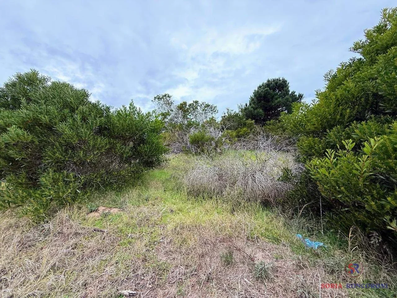 Lote de 660 m² en entorno forestado - Imagen 4