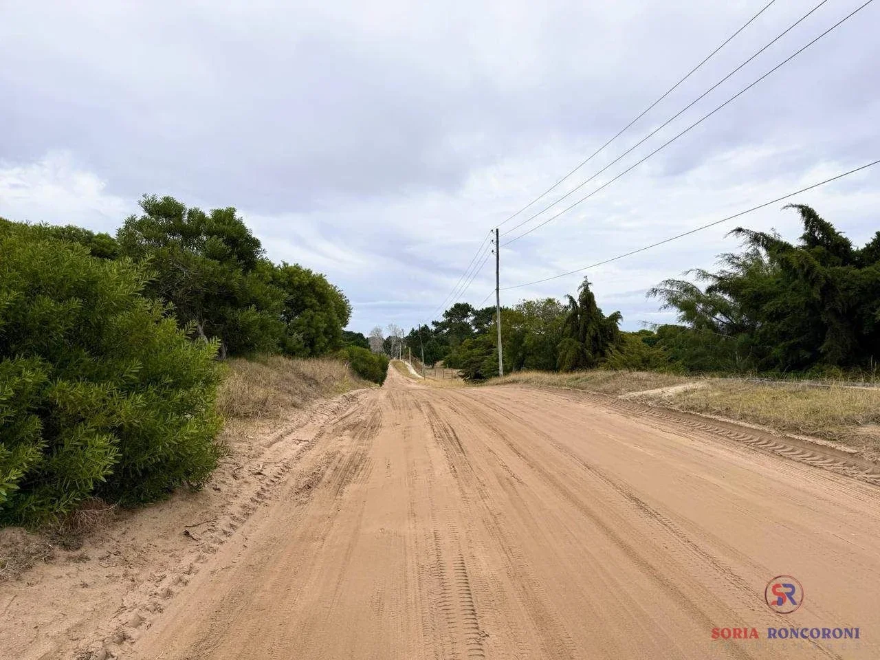 Lote de 660 m² en entorno forestado - Imagen 5