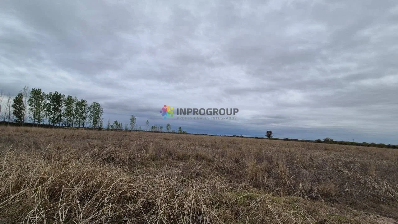 Campo en venta de 1013m2 ubicado en La Paz - Imagen 4