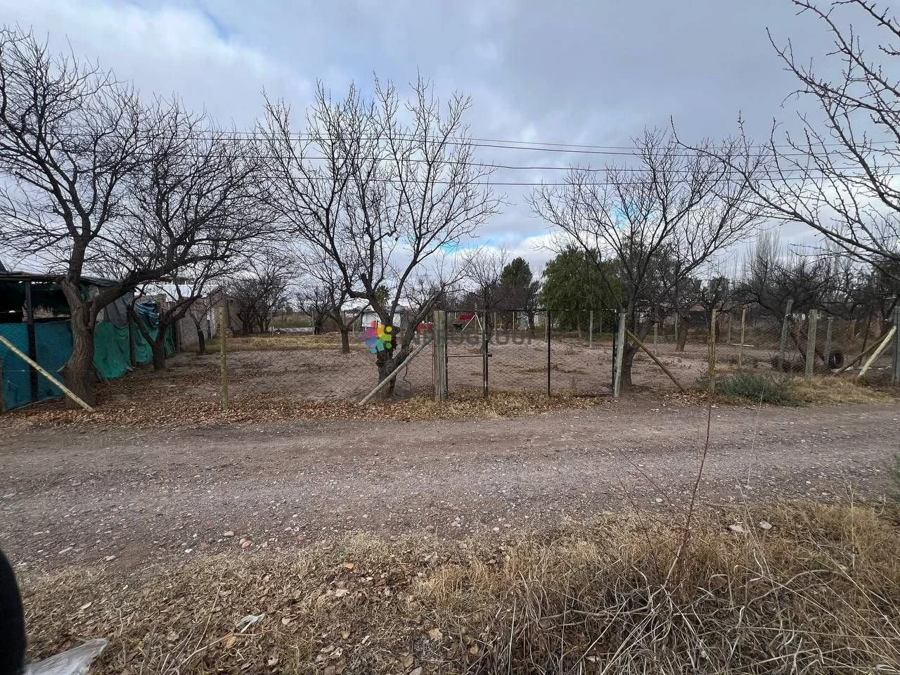 Terreno / Lote en venta de 811m2 ubicado en La Colonia - Imagen 4