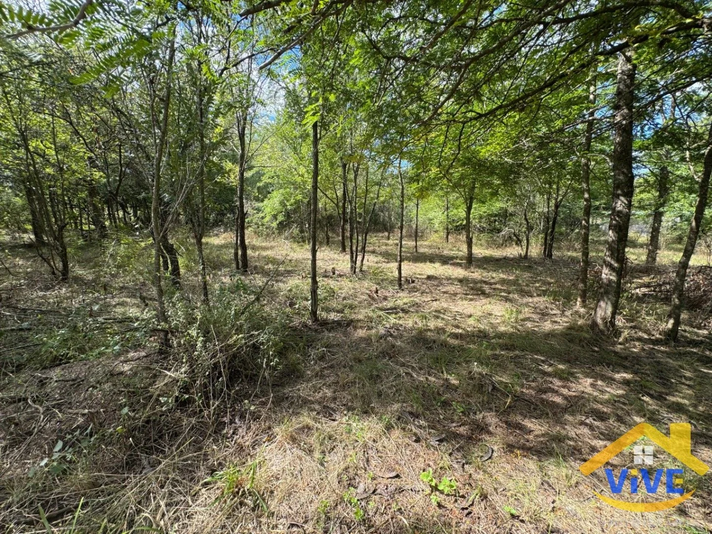 Terreno / Lote en venta de 1300m2 ubicado en Cosquín - Imagen 5